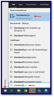 Standaard browser.jpg
